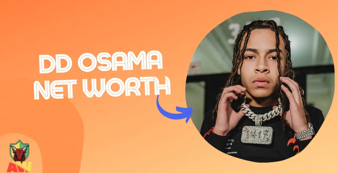 DD Osama Net Worth